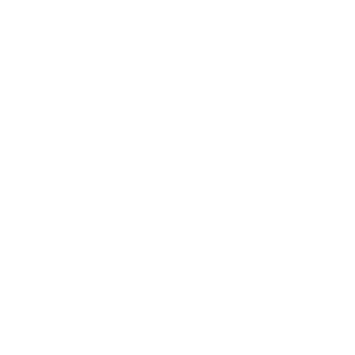 Energy-Flow Massage Logo